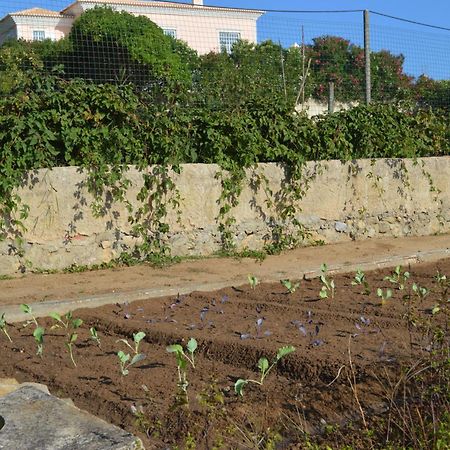 Bed and Breakfast Casalinho De Santo Antonio Sintra Exterior foto