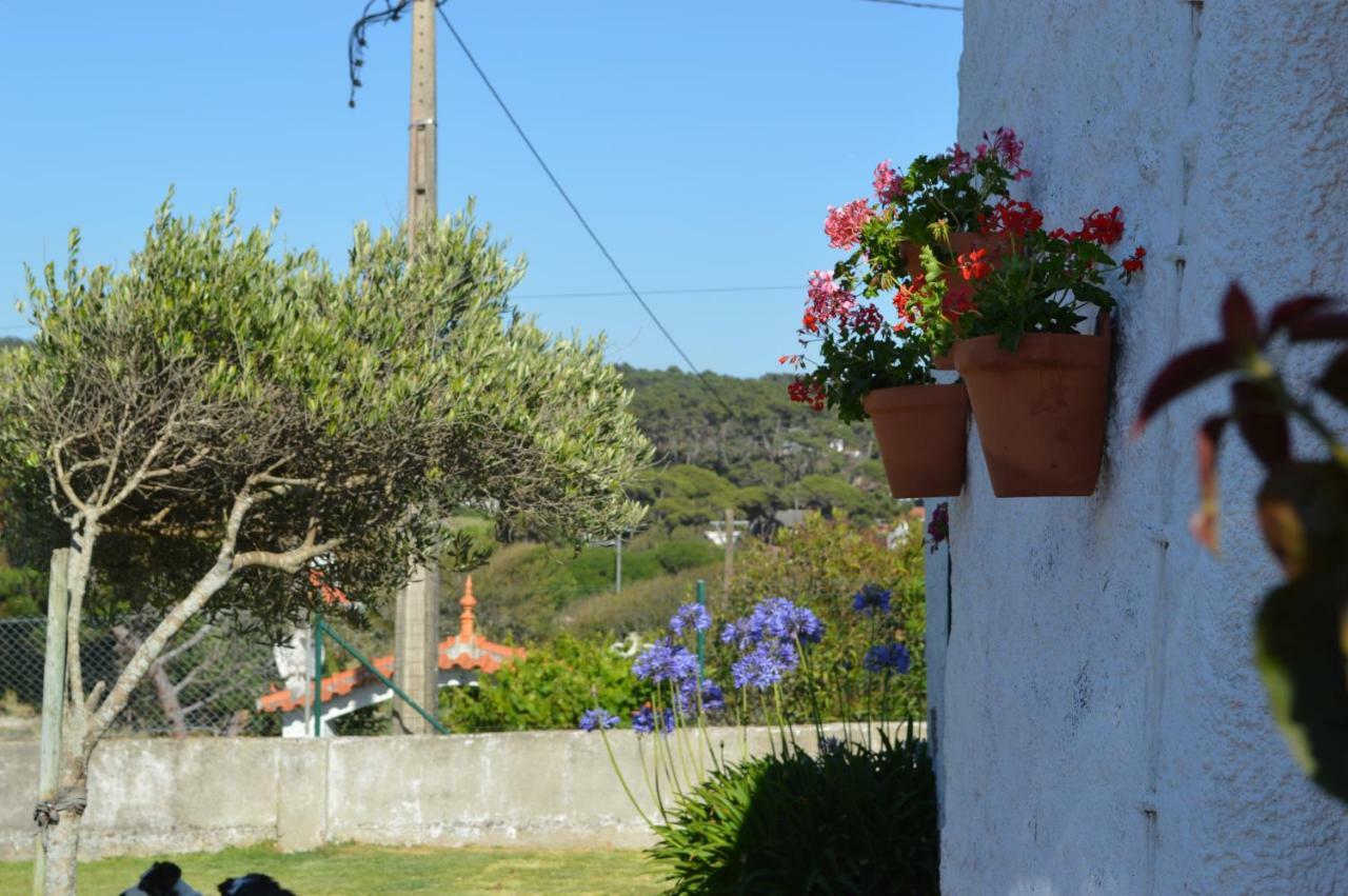 Bed and Breakfast Casalinho De Santo Antonio Sintra Exterior foto